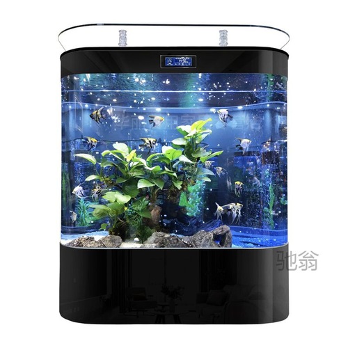 Tank for living room, household, small and medium-sized,  new model, double round wall-mounted large size, large rear filter ecological landscape, golden dragon