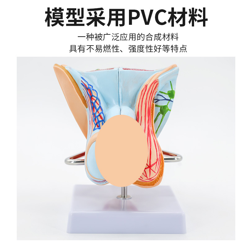 ����������ֳ����ģ�� ��̬������ֳ����ģ�� غ��ģ�� ����ģ��