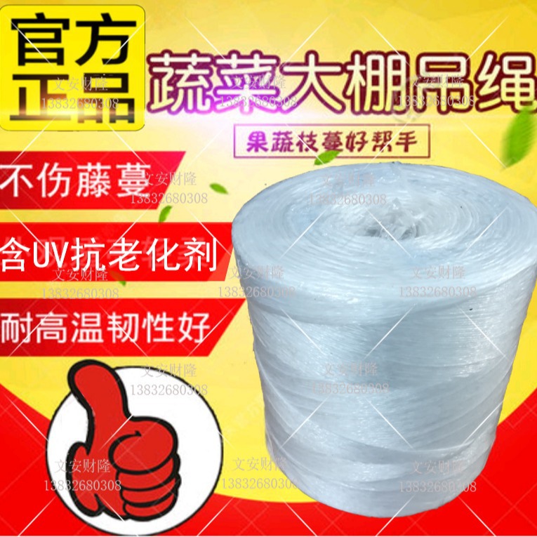 蔬菜吊挂绳 大棚温室番茄黄瓜吊蔓绳吊秧绳吊绳（6250米/卷）