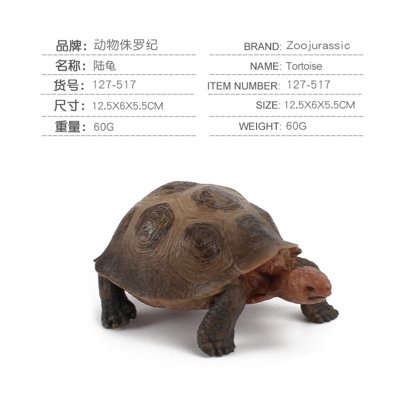 Simulación tortuga sólida Galápagos elefante tortuga juguetes marino mundo tortuga modelo de animal amazona
