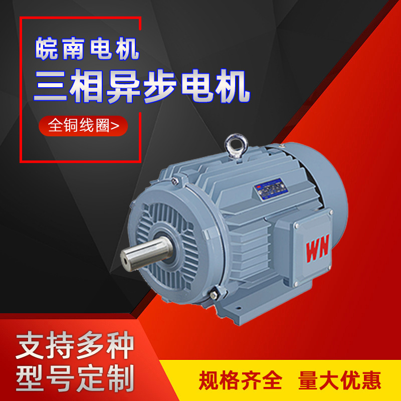 Anhui Wannan Motor Ye4 Series Ultra-High Efficiency All-Copper Coil Three-Phase Asynchronous Motor Distributor