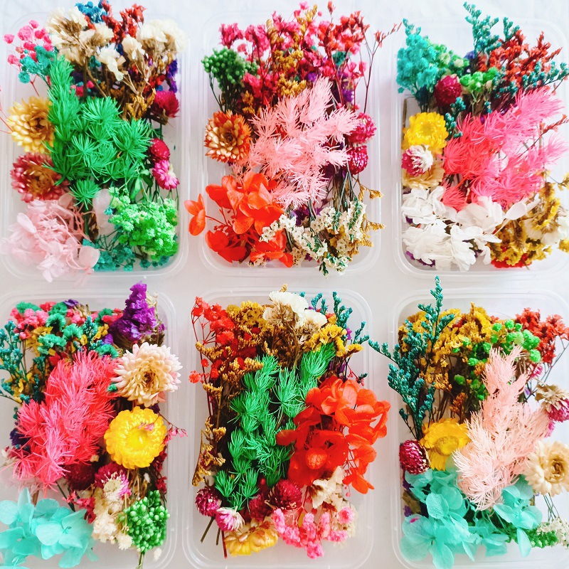 Festival bricolaje hecho a mano material de flor eterna planta flor seca florero flotante aromaterapia flor seca abanico de material paquete al por mayor
