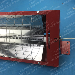 Sanbao Factory Supply Junqian Brand (Quartz) Directional Radiant Heater Large Quantity Postage