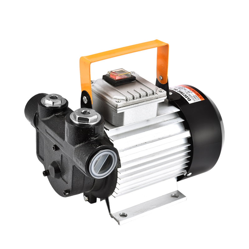 Bomba de bombeo eléctrica 12V24V220V bomba de autoaspiración de alta potencia bomba diesel bomba de refuerzo de control remoto bomba de dosificación de bomba