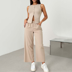 夏の薄いタイプのファッションスーツのスーツの女性のビジネスの通勤の職業の正装のスーツのベストの広い足のズボンの2つのセット