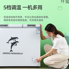 冷柜家用小型商用大容量冷藏冷冻节能双温保鲜小冰柜