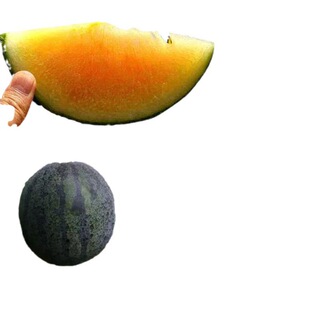 ���������ϷN����������Ƥ�Sȿ���ϷN��֭���o�����ϷN��