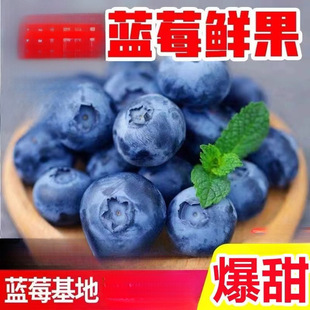 ���|25�����{ݮ�r�����r�߶�ˮ�������{÷��ɽ���w�ЋD������S