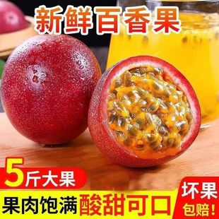 �V��������r��Ƥ����������֭�������ɏ��ެɏ����ˮ��������