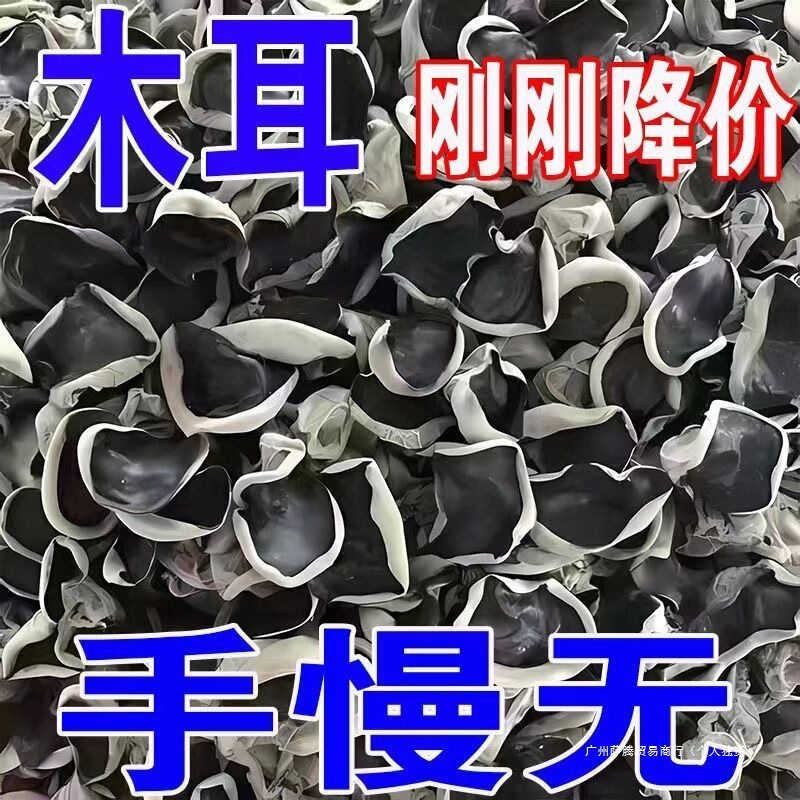 小500g农家东北碗耳土特产肉厚干木耳无根黑木耳干货半价其他|undefined