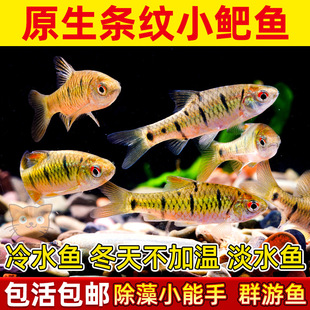 ԭ���B��ˮ�~�l�yС?�~���w��ˮСϪ�~���?Ⱥ���^�p���B�ͻ�