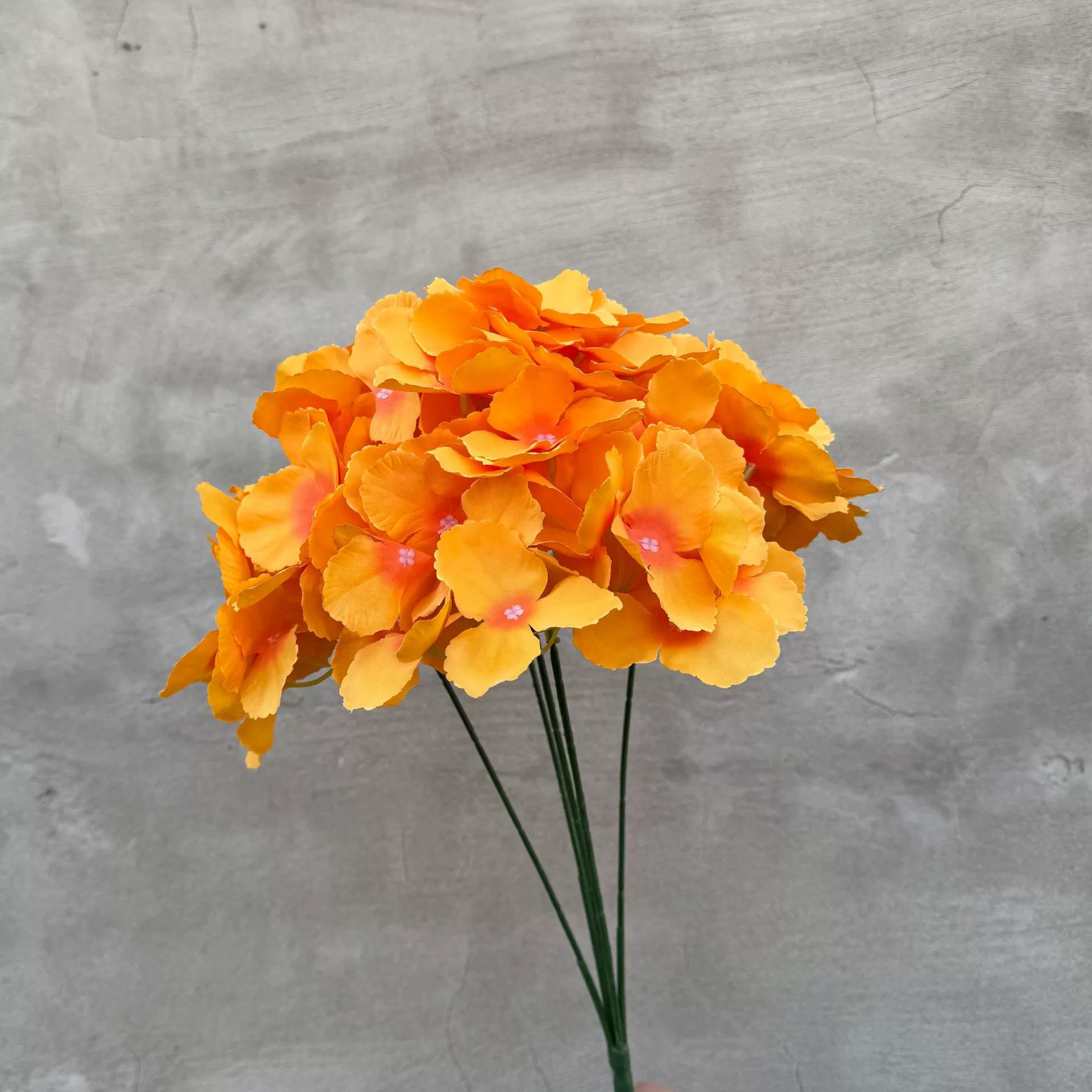 5포크 수국-오렌지