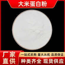 大米蛋白粉 原肽生物 水解蛋白粉 食品级原料 植物蛋白粉 现货