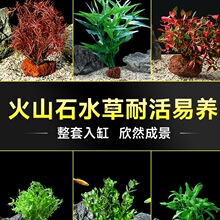 �~���쾰��Ի��w��ˮ��ֲ���ɽʯ�G���������B��ˮ���ײ�