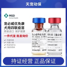宠必威优免康英特威四联活疫苗 4联进口幼犬成犬宠物狗狗用默沙东