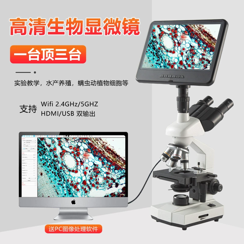 Бинокулярный биологический микроскоп, обучающий эксперимент для входа в среднюю школу, специальный оптический аквакультур высокой четкости, просмотр бактерий и обнаружение клещей
