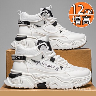 �[�΃�������Ь6CM�W������Ь��10cm͸��ߎ�С��Ь����\��Ь��