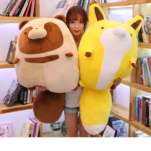 ë�q��߿�ͨ���ﱧ�����|�������նY��һ�����l