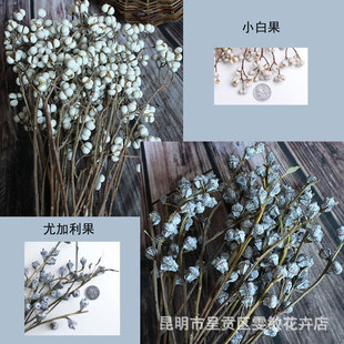 ��С�׹�/�ȼ�������ɭϵ��Ȼ�ɻ��滨С�׶�diy�Ҿ��b��ȼ�����