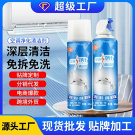 清洗/养护剂;空调清洁剂;鞋袜除臭剂
