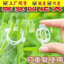 �̶��A�������߲˹Ϲ����t������ֲ��A���Ͻ����A���ѭh��ȫ����