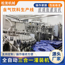 玻璃瓶碳酸饮料生产线设备  全套玻璃瓶酸梅汤三旋盖灌装封口机