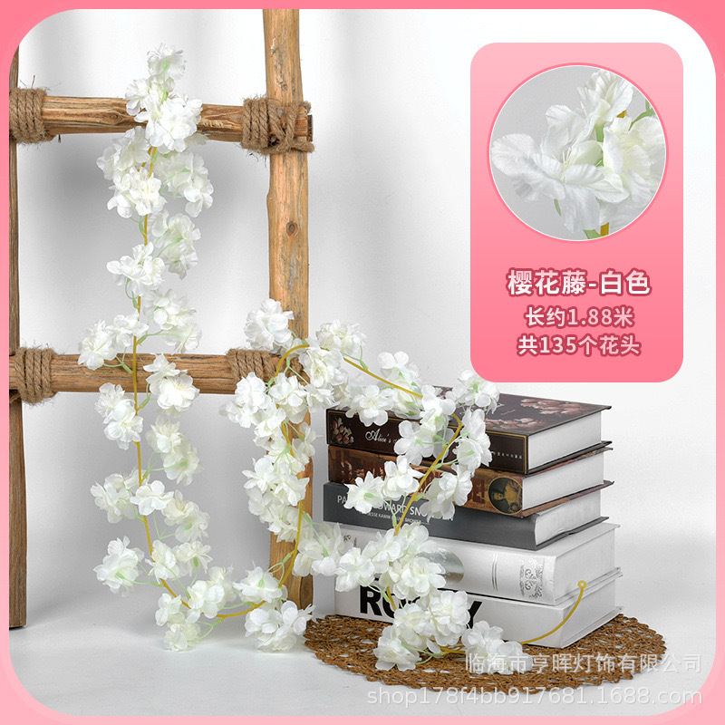 微信图片_20231221144715