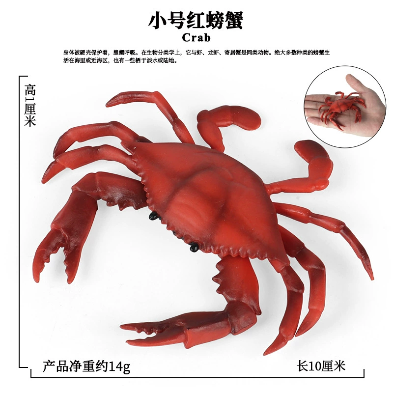 Модель crab/crab king crab трехточечная, имитация реальной жизни морского животного, открытая спина, искусственный рот, детские познавательные игрушки-украшения
