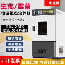 ����ù���������B��늟�a�ؐa��ԇ��䌍��ҹ����˹������̫��