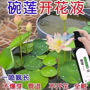Special Nutrient Solution for Bowl Lotus, Water Lily Fertilizer, Universal Water-Soluble Fertilizer, Hydroponic Seed Germination, Rooting, Flower Promotion, Yellow Leaf Prevention