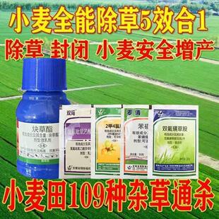 С�����݄����b����¡�p���ǲݰ����ͪȲ����Ұ�������ݺ���p��