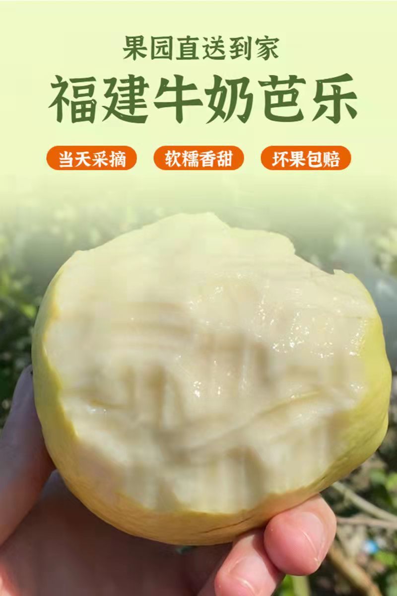 4c52c3f3-175e-4221-a7d0-38e8c2efb078.jpe