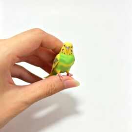 3D全彩打印动物宠物花鸟鱼虫鹦鹉小鸟现货纪念图片手办AI模型