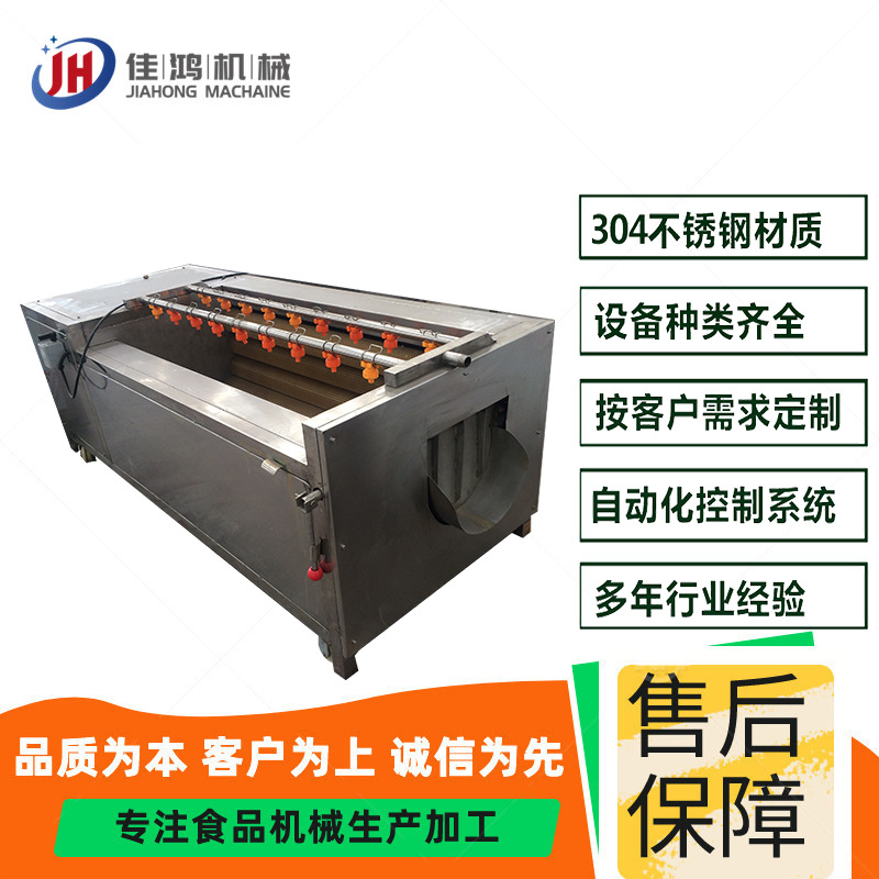 酸枣苹果全自动清洗机 莲藕胡萝卜清洗去皮机 蔬菜毛辊去皮清洗机