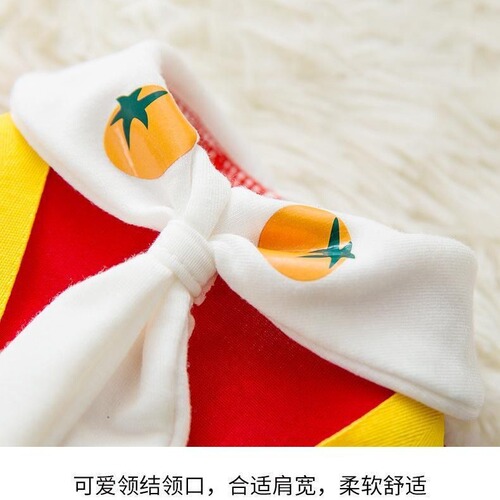 Cute spring, autumn and winter puppy sweatshirts, cat bipeds, small dog puppies, Teddy Bichon Pomeranian clothes