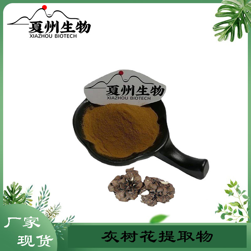 灰树花提取物 10/20/30/50:1  灰树花多糖50%  夏州生物现货qk装