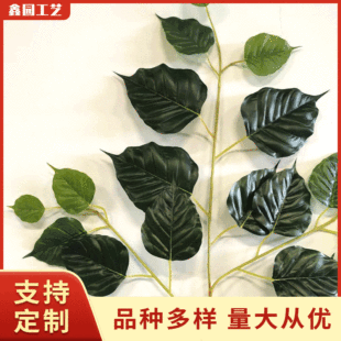 菩提樹葉圖片 海量高清菩提樹葉圖片大全 阿里巴巴 菩提樹葉圖片 海量高清菩提樹葉圖片大全 阿里巴巴