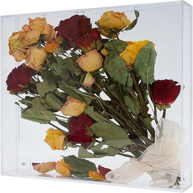 81J4pMfdbgL._AC_SX679_