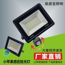 厂家直销小苹果感应投光灯带传感器带遥控器带光控LED感应投光灯