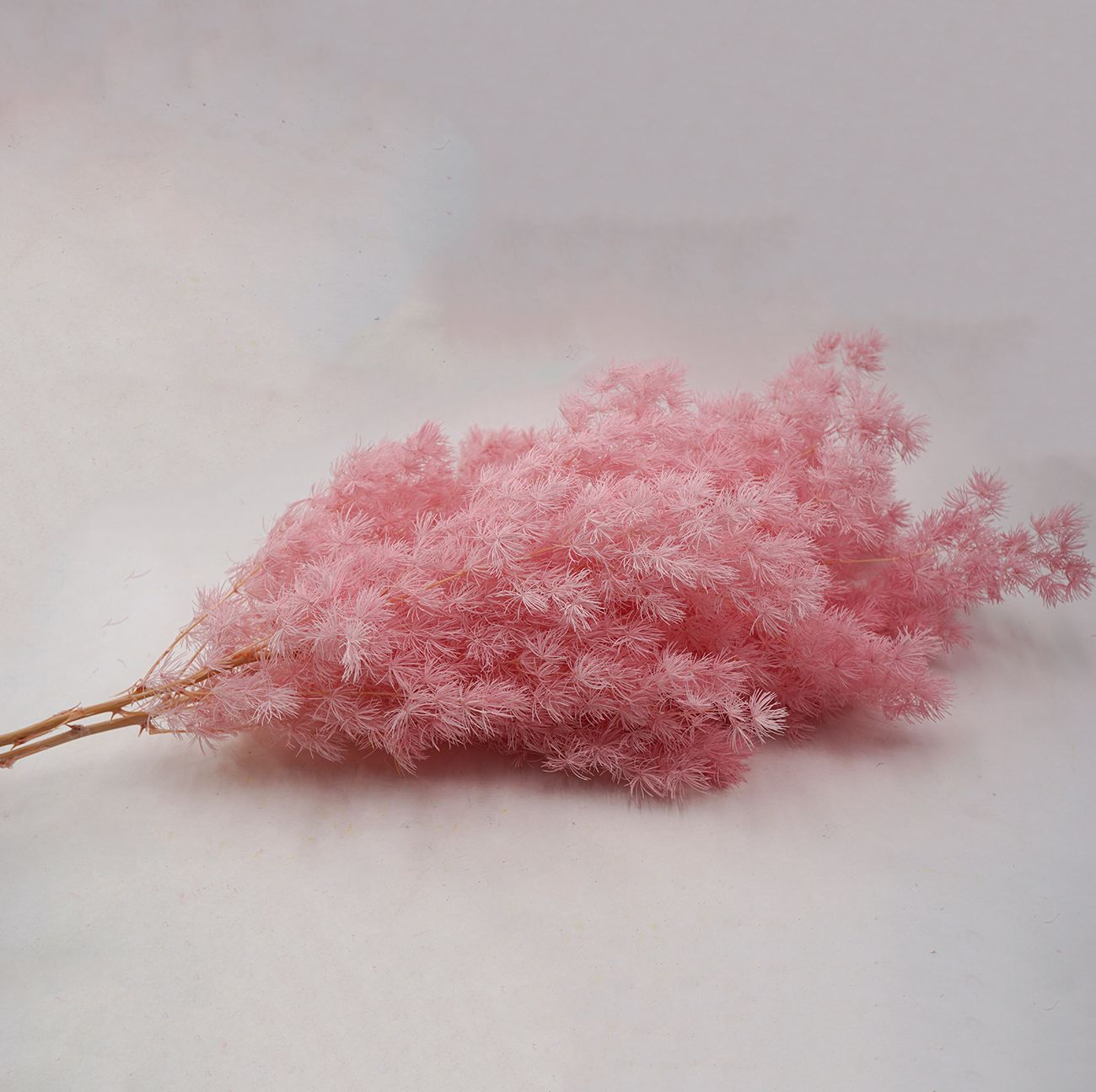 Pino Penglai flor eterna Navidad Pino preservado flor seca ramo Yunnan flor decoración del hogar Accesorios de tiro