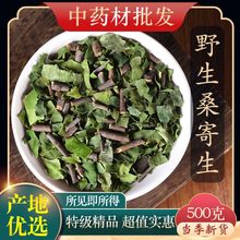 中药材级野生桑寄生精选克桑寄生粉新货桑寄生茶新鲜槲寄生代发