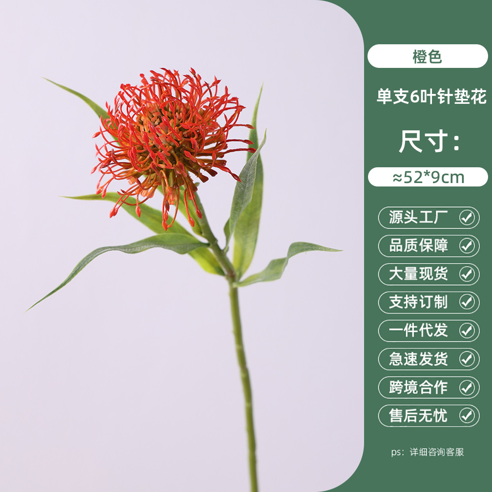 단일 가지 6잎 침대꽃 - 오렌지색