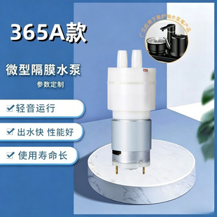 365΢�������� 12V���~�Cо̨ʽ�Ԅ���ˮ�ݲ�C�ˮ�C��ĤСˮ��