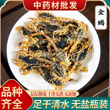 �F؛�F؛����ʮ��ȫ��ȫϐ��ș��ȫϐ�o�}��ˮϐ��ȫ�xϐ�Ӱ��ٰl