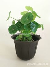 QSֱKD3611߅ϻմɫ@ˇƷ