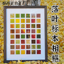 ���~���~�˱�����ֹ�diy�����~���ռ�48�m�񮋿��b�����[��