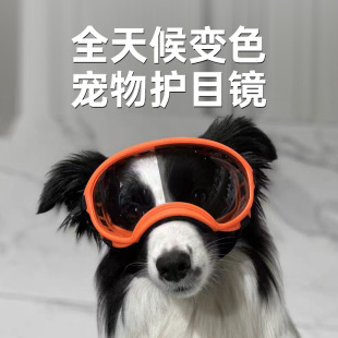 Color-changing Pet Glasses Accessories UV-proof Windproof Explosion-proof Dog Goggles Universal Pet HD Goggles