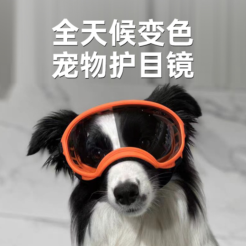 变色宠物眼镜配饰防紫外线防风防爆狗狗护目镜通用宠物高清护目镜