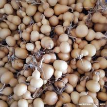 С���J�����J�NֲҰ�����ٺ������恆���ĳ��Ƕ���J�������