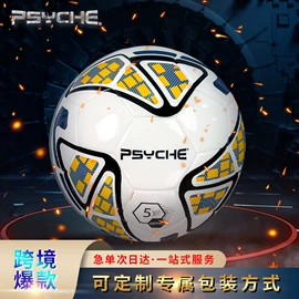 篮球;足球;排球